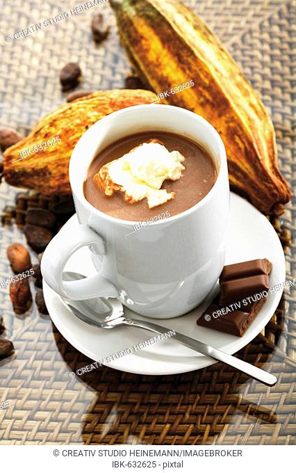 Cup of cocoa with whipped cream, cocoa plants and cocoa beans