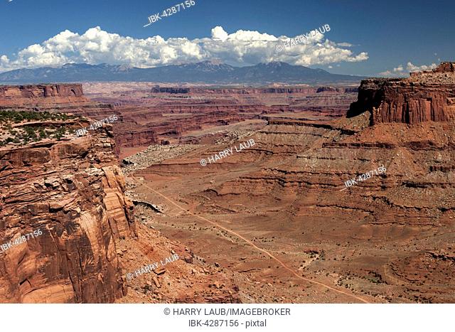 View from Shafer Canyon Overlook towards Shafer Canyon, eroded landscape, Island in the Sky, Canyonlands National Park, Utah, USA