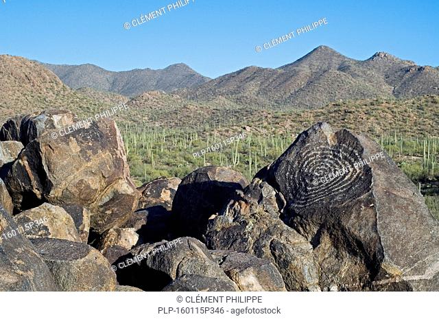 Rock art at Signal Hill, created by the Hohokam Indians, showing spiral petroglyphs with the Tucson Mountains in the background, Saguaro National Park, Arizona