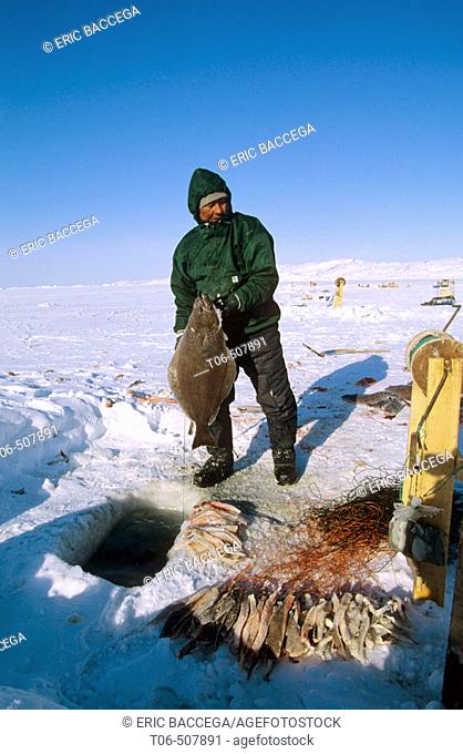 Professionnal fisherman fishing for halibut through ice hole using 800 m long line, Disko bay, Greenland