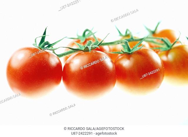 Cherry Tomatoes Isolated on a White Background. . .