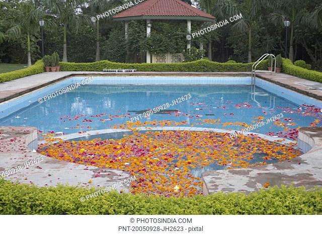 Flowers floating on water in a swimming pool