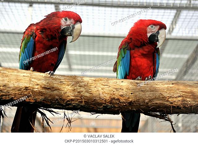 First Czech parrot zoo garden in Bosovice begins new season, in Czech Republic, March 1, 2015. Area of the zoo should evoke atmosphere of tropical rainforest