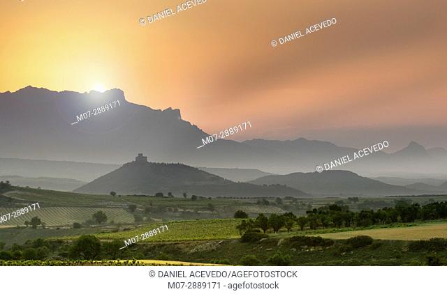 Davalillo Castle and vineyards, summer around San Asensio area, La Rioja, Spain. Europe
