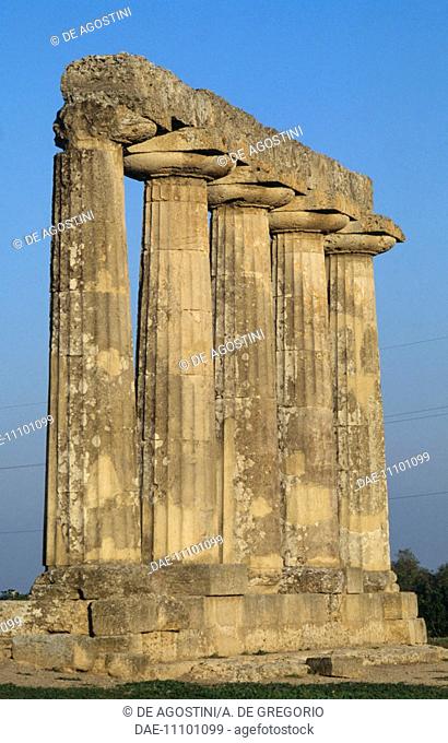 Columns of the Doric temple of Hera or Tavole Palatine (Palatine Tables), Metaponto, Bernalda, Basilicata, Italy. Magna Graecia civilization, 6th century BC