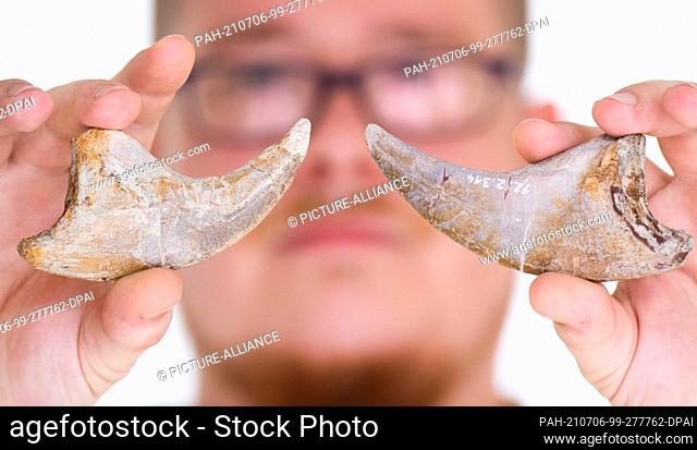 06 July 2021, Lower Saxony, Rehburg-Loccum: Taxidermist Rodney Dehm shows claws of a Plateosaurus in the Dino Park Münchehagen