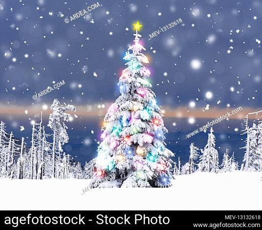 Christmas Tree - with Christmas lights and star in winter snow