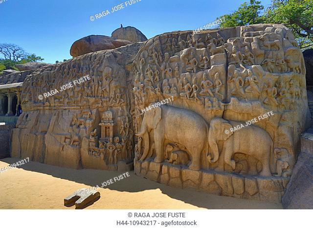 India, South India, Asia, Tamil Nadu, Mamallapuram, Mahabalipuram, Rock-cut, architecture, Ajuna's Penance, world heritage, Ajuna, art, Dravidian, elephant