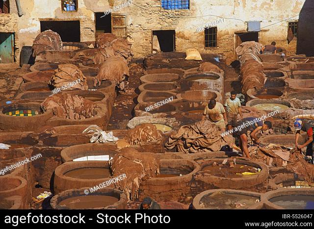 Fes, Traditional Tanneries with Dyeing Tubs, The Chouwara, Chouara, Tannery, Old Town, Medina, UNESCO World Heritage Site, Fes el Bali, Maghreb, North Africa