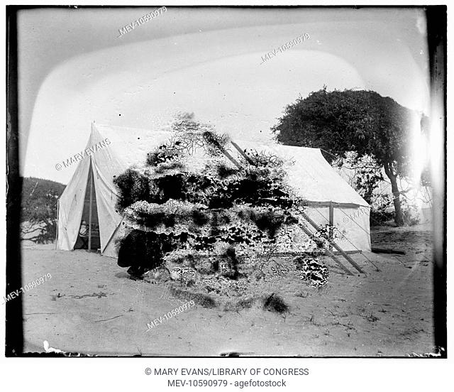 Closeup view of the Wright brothers' tent at Kitty Hawk, a half mile from Captain Tate's home. Date 1900