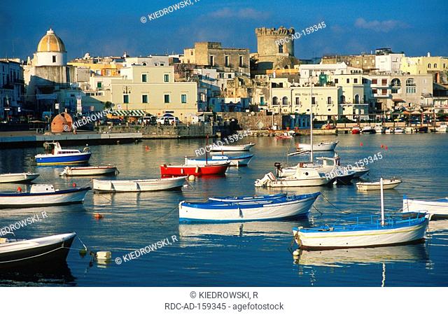 Fishing harbour Forio Ischia Bay of Naples Campania Italy