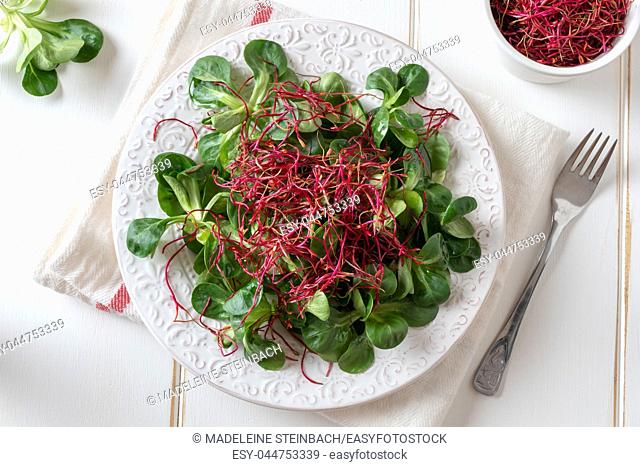 Salad with lamb's lettuce and fresh red beet sprouts, top view