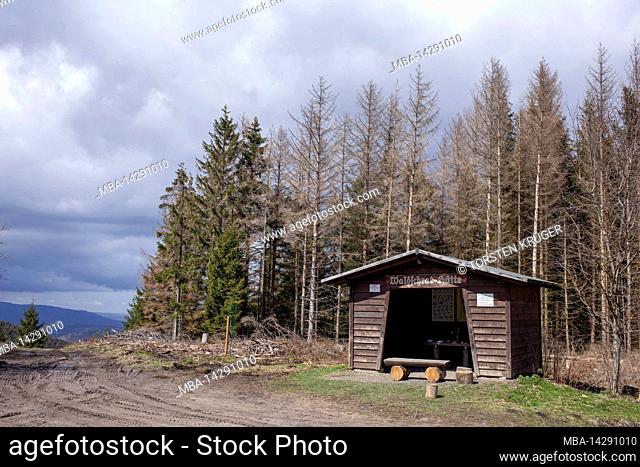 Shelter for hikers in the Gosetal, Goslar, Harz, Lower Saxony, Germany, Europe