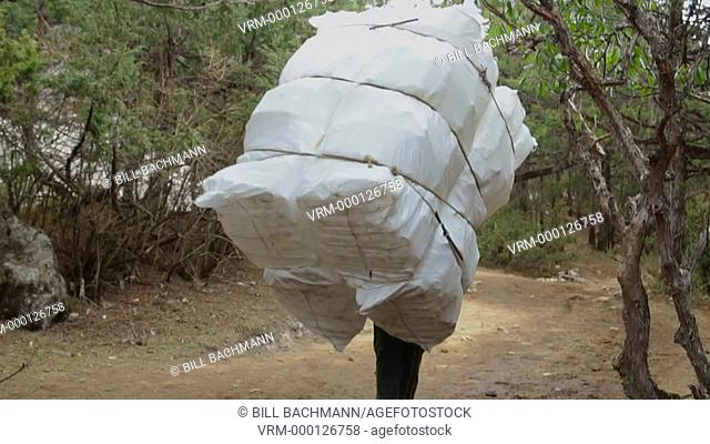 Himalayas Nepal Porter in Solukhumbu carrying load in forest and walking away Himalayas Nepal