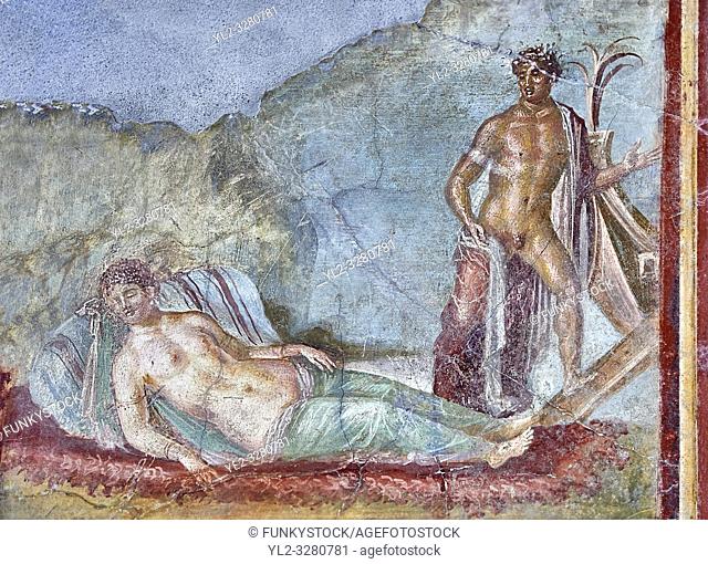 Roman fresco wall painting of Ariadne fast asleep on a bed of seaweed does not realise that Theseus is about to abandon her and sailaway on a ship to Athens