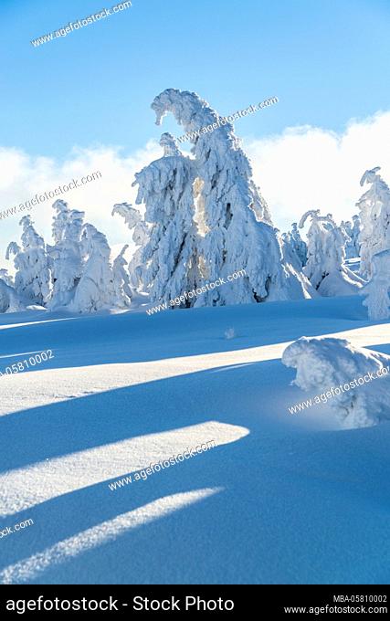 Winter landscape at the Brocken in the Harz National Park, Saxony Anhalt, Germany