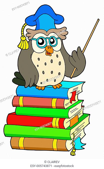 Owl teacher and books