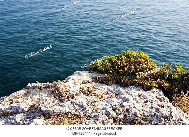 Coastline landscape in Algarve, Portugal, Europe