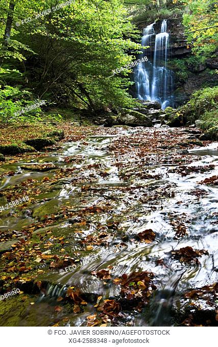 Cascada del río Hormigas, junto al Pozo de la Arbencia. Parque Natural Saja-Besaya. Valle de Cabuérniga - Bárcena Mayor - Cantabria. España