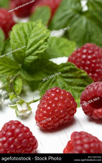 Raspberry with leaves and flowers