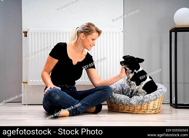 Happy Warm Woman With Dog Near Thermostat Heating Radiator