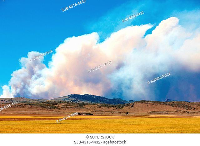 Raging mountain wildfire, rising smoke, foreground wheat field, northern Colorado, USA