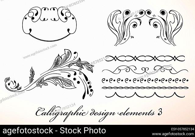 Vintage calligraphic design elements 3. Vector illustration EPS8
