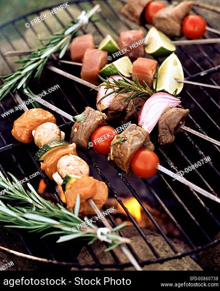 Meat and vegetable kebabs with rosemary on barbecue