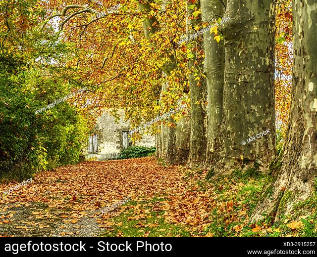 driveway to farm house in autumn near Lauzun, Lot-et-Garonne Department, Nouvelle-Aquitaine, France