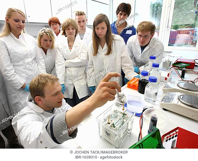 Internship leader demonstrating the filling of gel pockets in a vertical gel electrophoresis chamber, Centre for Medical Biotechnology of the University...
