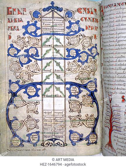 Table of the degrees of Consanguinity, a page from Liber Floridus, 12th century. Consanguinity is the property of having the same genetic lineage as another...