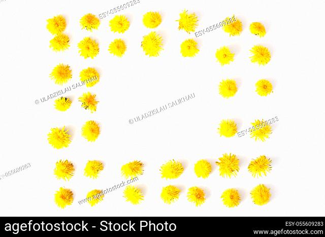 Flowers frame pattern, dandelions. Summer concept, top view, flat lay