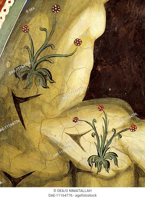 Floral decoration, detail from the Miracle of the Rescue of St Placidus, 13th century fresco by the First Assistant of Consolo or Magister Consolus