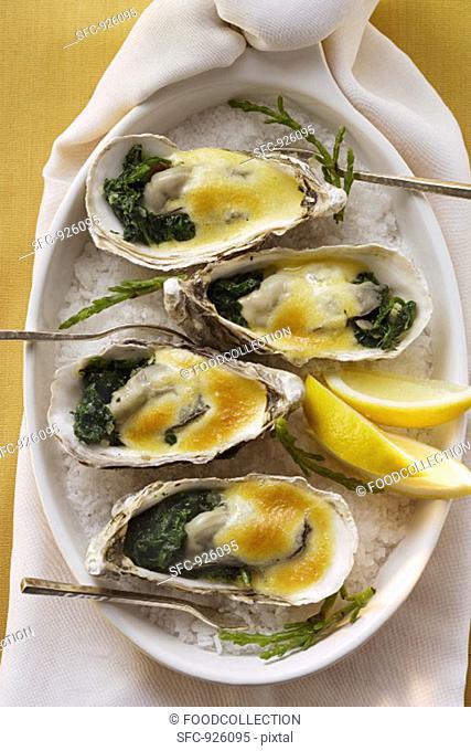 Baked oysters with creamed cheese and spinach on sea salt
