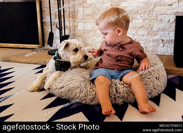 Toddler boy sitting with dog on pet bed at home