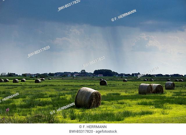 hayballs in a meadow at approaching thunderstorm, Germany, Mecklenburg-Western Pomerania, Hiddensee, Dornbusch