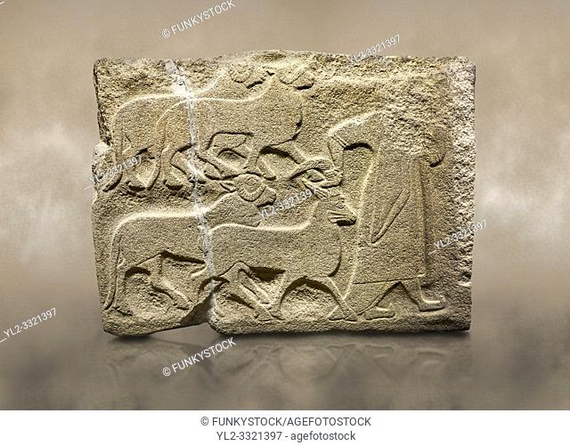 Alaca Hoyuk Sphinx Gate Hittite monumental relief sculpted orthostat stone panel. A figure bringing sacrificial animals. Anatolian Civilizations Museum, Ankara
