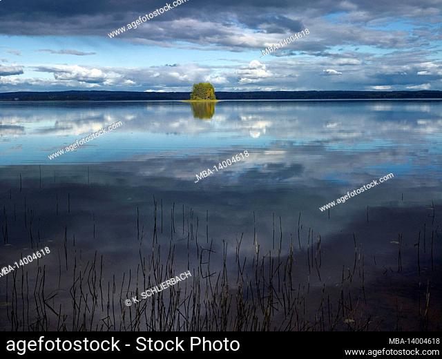 europe, sweden, dalarna, autumn mood at a forest lake, mora, sollerön island, lake siljan, cloud mood