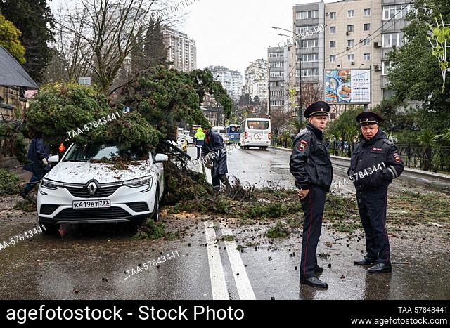 RUSSIA, SOCHI - MARCH 13, 2023: Traffic police officers are seen by a tree fallen on a car in Gorkogo Street. The cypress tree has fallen on the car blocking...