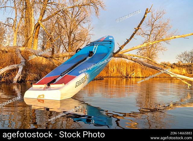 Fort Collins, CO, USA - November 19, 2019: Racing stand up paddleboard, All Star by Starboard, on a shore of a calm lake in late fall scenery