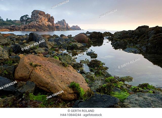 France, Europe, Côte de Granit Rose, Brittany, Algae, Granitic, Granite, Rocks, Rock, Rocky coast, Coastal, Coast, Sea
