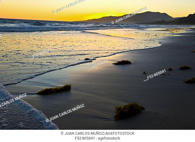 Lances beach, Tarifa. Strait of Gibraltar Natural Park, Costa de la Luz, Cadiz province, Andalusia, Spain