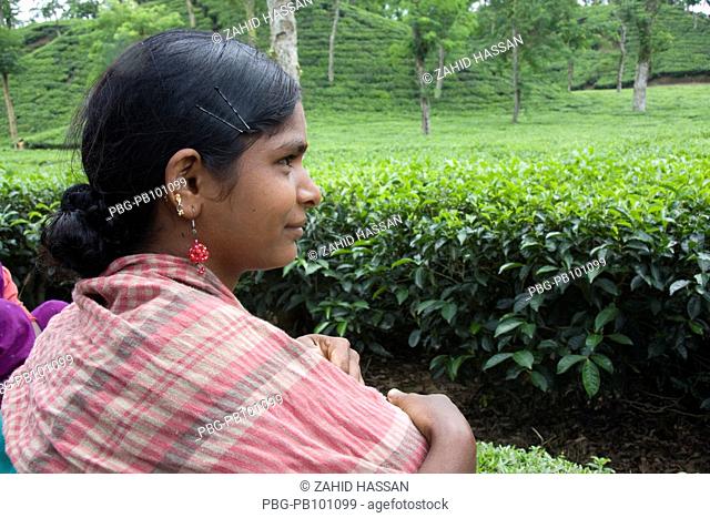 Portrait of a tea plucker at tea garden at Srimangal, Bangladesh Tea is a major industry in Bangladesh and grows in the low hills of Chittagong and Sylhet There...
