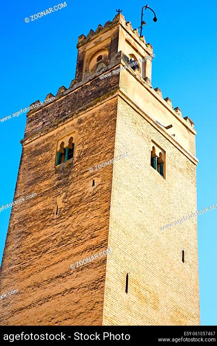 in maroc africa    minaret and the blue sky