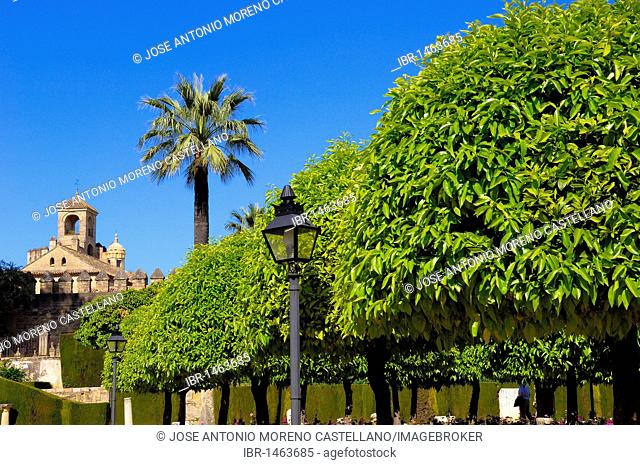 The gardens of Alcázar de los Reyes Cristianos, Alcazar of Catholic Kings, Cordoba, Andalusia, Spain, Europe