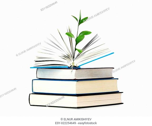 Knowledge concept - Leaves growing out of book