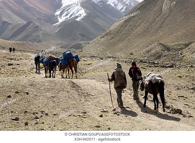 trekkers en route pour le col Stokla au depart de Rumbak, ladakh, jammu et kashmir, inde, asie