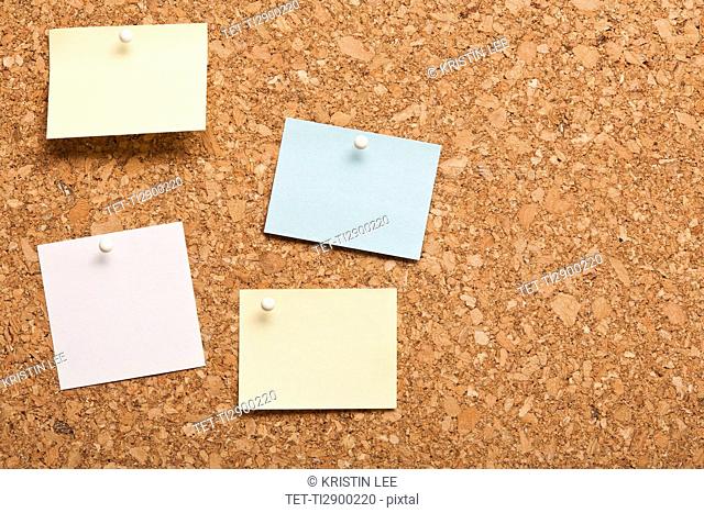 Corkboard with Note papers