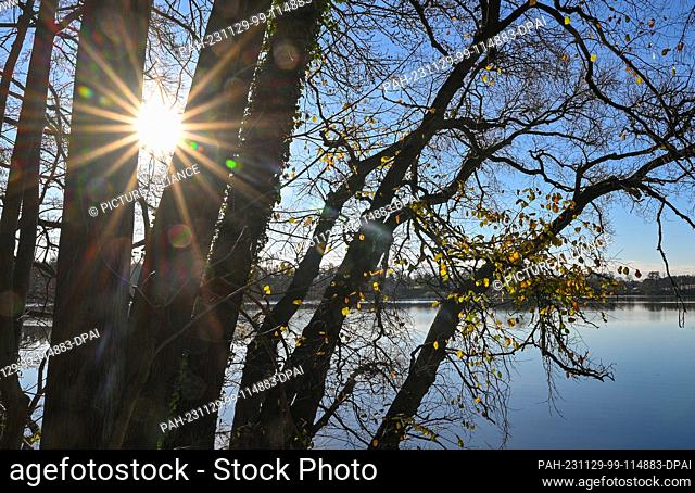 26 November 2023, Brandenburg, Falkenhagen: The sun shines through the trees on the shore of the castle lake in the fall. Photo: Patrick Pleul/dpa