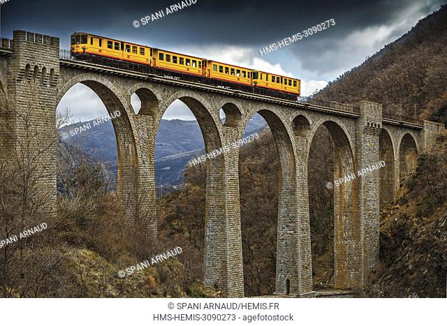 France, Pyrenees Orientales, Natural regional park Catalan Pyrenees, Tet Valley, Sejourne bridge, Le Train Jaune, rain crossing the bridge Sejourne in winter
